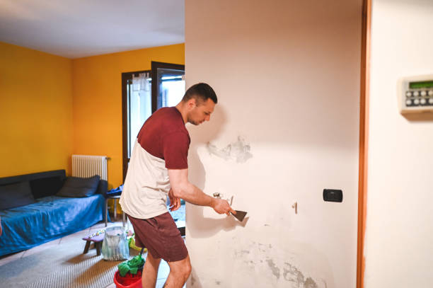 Best Localized Mold Remediation (e.g., coastal areas, humid climates) in Spokane, WA