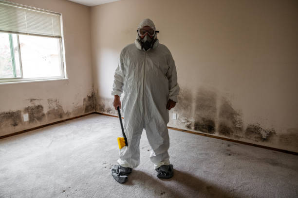 Trusted Spokane, WA Mold Remediation Experts